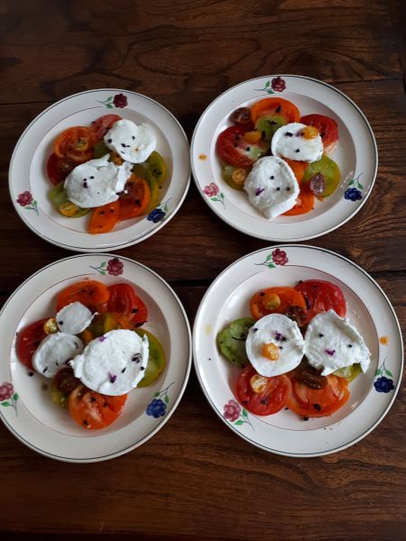 Tomates mozarella