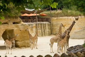 Bioparc